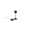 Trio Fernandez R54096132 tölthető kültéri asztali lámpa dokkolóval, 1,5W LED, 2700-4000-6000K, 130 lm, IP54