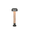 Trio FRASER 562560135 kültéri állólámpa, 1x10W E27, IP54