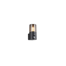 Trio HOOSIC 222260132 mozgásérzékelős kültéri falikar, 1x28W E27, IP44 kültéri világítás