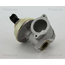 TRISCAN AGR-szelep 8813 16102 autóalkatrész