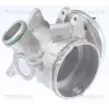 TRISCAN AGR-szelep 8813 23032