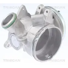 TRISCAN AGR-szelep 8813 23032 autóalkatrész