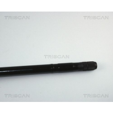 TRISCAN Érzékelő gyűrű, ABS TRISCAN 8540 25411 fékbetét