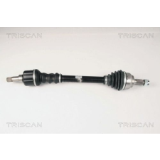TRISCAN Érzékelő gyűrű, ABS TRISCAN 8540 29407 fékbetét