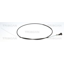 TRISCAN szivató csappantyú, porlasztó TRISCAN 8140 91002 autóalkatrész