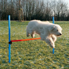 Trixie 3207 Dog Activity játék Agility akadály 123x115 cm játék kutyáknak