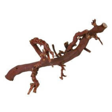 Trixie 76169 szölőinda'2', M: 30–40 cm hüllőfelszerelés