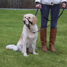 Trixie Hám Top Trainer M 27cm,fekete nyakörv, póráz, hám kutyáknak