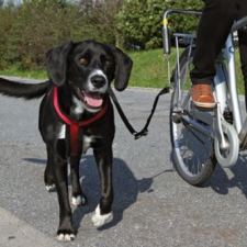 Trixie kerékpáros futtató 1 db  (TRX1287) kutyafelszerelés
