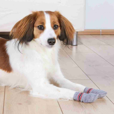  Trixie Kutyazokni Csúszásgátló talppal M-L Szürke - Otthoni viselet sérült és idős kutyáknak kutyaruha