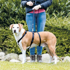 Trixie masszív tartó hám kutyáknak (30-40 cm | 10 mm) kisállateledel