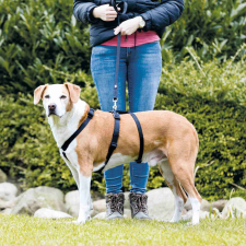 Trixie masszív tartó hám kutyáknak (50-75 cm | 200 mm) nyakörv, póráz, hám kutyáknak