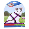  Trixie póráz+hám kitten, 19-31 cm/8 mm, 1.20 m