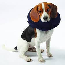 Trixie Protective Collar, inflatable - felfújható, védőgallér S (kék) kutyák részére (24-31cm/9.5cm) kutyafelszerelés
