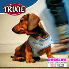  Trixie Puppy Soft Hám + Póráz Szett Világos szürke 26-34cm - Puha, szivaccsal bélelt kellemes tapintású hám nyakörv, póráz, hám kutyáknak