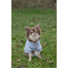 Trixie Rainbow Falls hoodie - kapucnis pulóver (szürke,mintás) kutyák részére (XS) 30cm kutyaruha