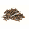 Trixie Száritott Tücsök 205ml/25g