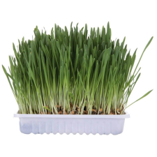 Trixie Trixie Macskafű Dobozos 100 g vitamin, táplálékkiegészítő macskáknak