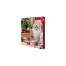 Trixie Xmas Advent Calendar for Cats - jutalomfalat (több féle) macskák részére jutalomfalat macskáknak