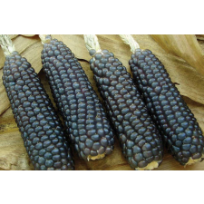 ,TRÓPUS, Trópus | Csöves kék kuorica rágcsálóknak - 320 g rágcsáló eledel