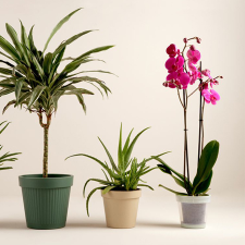 TRUPER Expert Caz-100Bx Csapágyas Csempevágó Szögtartóval, Táskával, 100 Cm (101242) csempevágó