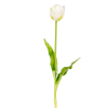  Tulipán szálas gumi krém M40cm 48db/#