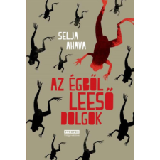 Typotex Kiadó Az égből leeső dolgok regény