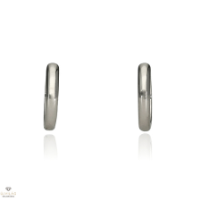 Újvilág Kollekció Ezüst karika fülbevaló - 02114-31 fülbevaló