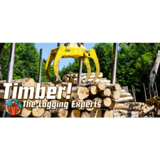 UniqueGames Timber! The Logging Experts (PC - Steam Digitális termékkulcs) videójáték