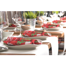  Ünnepi szalvéták Linclass - Sancho (mexikói stílusban) / 40 x 40 cm / 50 db papírárú, csomagoló és tárolóeszköz