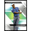 Upper Deck 2022-23 Upper Deck Goodwin Champions #25 Tiger Woods