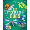 Usborne Publishing Ltd Big Sticker Book Bugs | Rebecca Mills