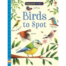Usborne Publishing Ltd Birds to Spot | Sam Smith egyéb könyv