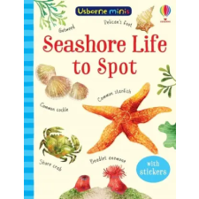 Usborne Publishing Ltd Seashore Life to Spot | SAM SMITH egyéb könyv