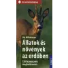 Ute Wilhelmsen Állatok és növények az erdőben