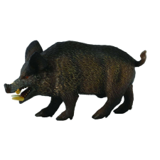 Vaddisznó malac figura M Collecta játékfigura