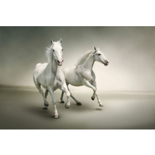  Vágtató fehér lovak tapéta, 300 x 250 cm tapéta, díszléc és más dekoráció