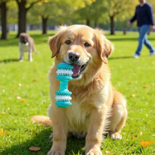  Vaníliás fogtisztító rágójáték kutyáknak - Súlyzó - Türkizkék játék kutyáknak