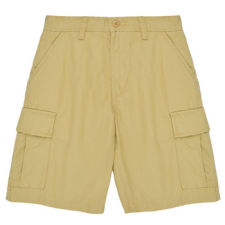 Vans Rövidnadrágok SERVICE CARGO SHORT Bézs US 28 gyerek nadrág