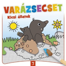  VARÁZSECSET - Kicsi állatok gyermek- és ifjúsági könyv