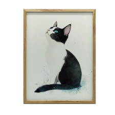  VÁSZON FESTMÉNY FALI CACSKÁHOZ FEHÉR KERETTEL 50x70 CM grafika, keretezett kép