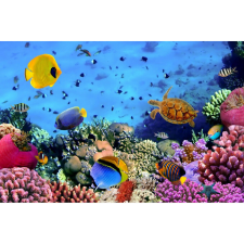  Vászon festmény, MÉDIA, Az óceán élővilága, 105 x 70 cm grafika, keretezett kép