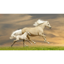  Vászon festmény, MEDIA, Cai16, 105 x 70 cm grafika, keretezett kép