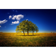  Vászon festmény, MÉDIA, Egy korona, 105 x 70 cm grafika, keretezett kép