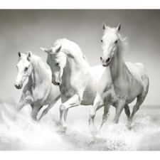  Vászon festmény, MEDIA, Ló, 105 x 70 cm grafika, keretezett kép