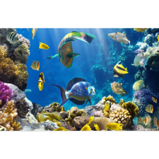  Vászon festmény, MEDIA, Mélységi világ, 105 x 70 cm grafika, keretezett kép