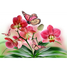  Vászon festmény, MÉDIA, Pillangók és rózsaszín orchideák, 105 x 70 cm grafika, keretezett kép