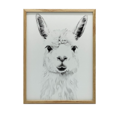 VÁSZON KÉP FINOM LÁMÁHOZ FALHOZ KERET NÉLKÜL 70x100 CM grafika, keretezett kép