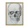 VÁSZONFESTMÉNY FALKOPONYÁHOZ ANATOMY PREMIUM 70x100 CM