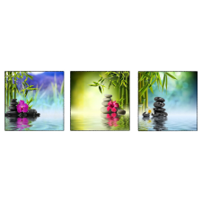  Vászonkép, 3 db-os készlet, MEDIA, flori1, 50 x 50 cm grafika, keretezett kép